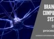 Brain VS Computer System : Data Processing